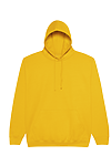 COLLEGE HOODIE GOLD