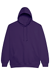 COLLEGE HOODIE PURPLE