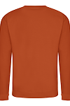 COLLEGE SWEAT BURNT ORANGE back