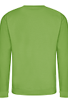 COLLEGE SWEAT LIME GREEN back