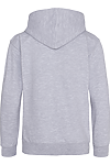 YOUTH COLLEGE HOODIE HEATHER GREY back