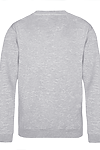 YOUTH COLLEGE SWEAT HEATHER GREY