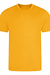 COOL T GOLD