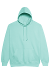 COLLEGE HOODIE PEPPERMINT