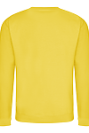 COLLEGE SWEAT SUN YELLOW back